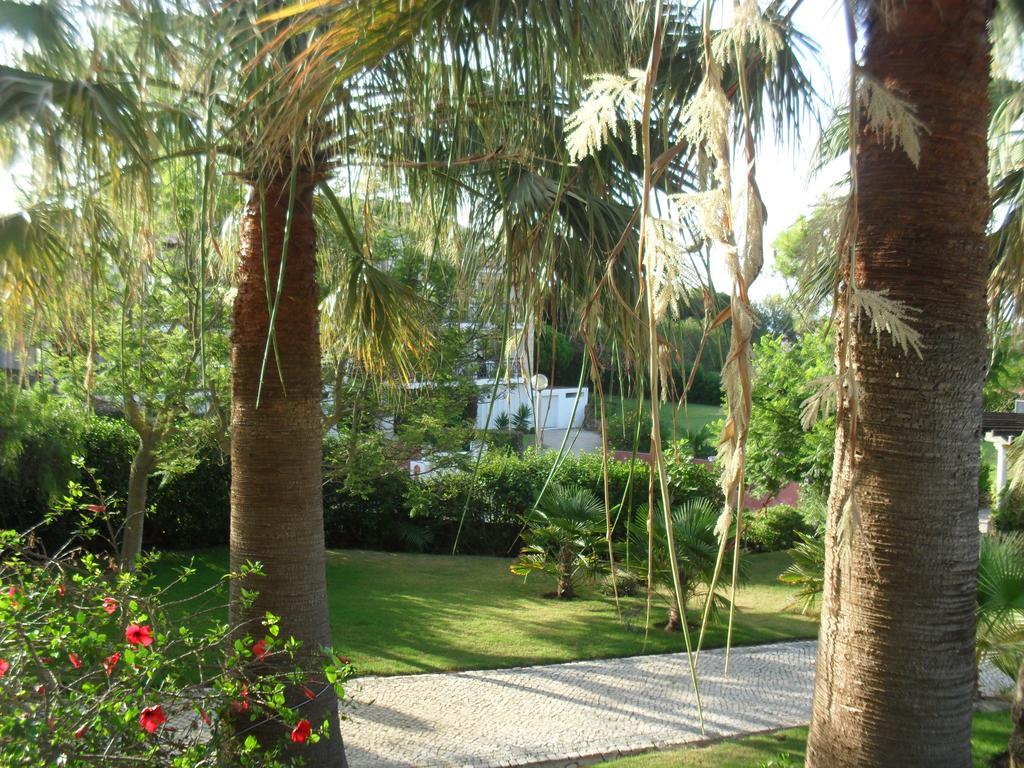 Luzmar Villas Exteriör bild